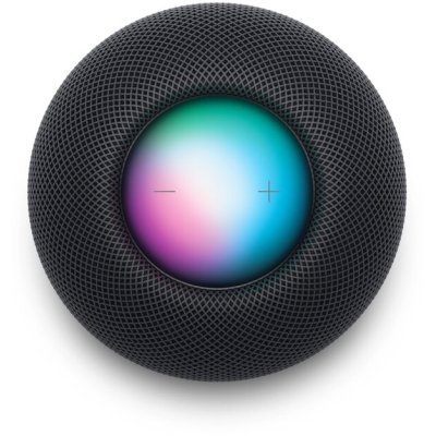 умная колонка Apple HomePod mini Space Grey MY5G2ZP/A