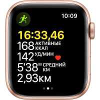 умные часы Apple Watch SE MKQ53ZP/A