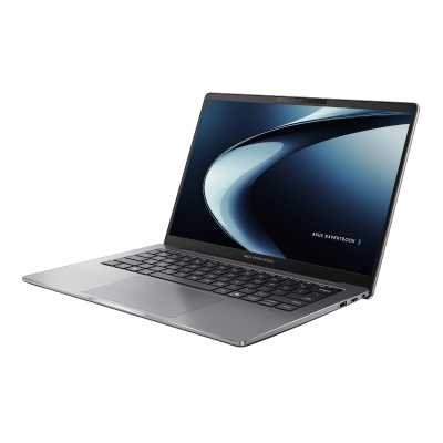 ноутбук ASUS ExpertBook P3 P3405CVA-LY0252X 90NX08E1-M009F0 Серый