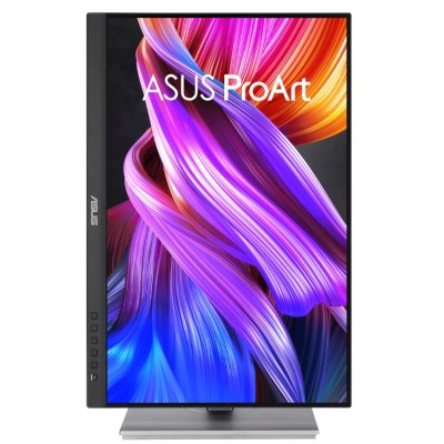 монитор ASUS ProArt PA248CNV Черный
