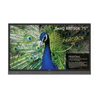 ЖК панель BenQ RP750K