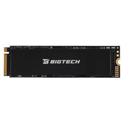 SSD диск BigTech 256Gb BSDS256M4M Черный