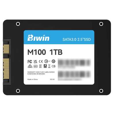SSD диск Biwin M100 1Tb BM100NN01TB-RGX Черный