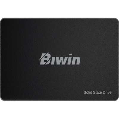 SSD диск Biwin M100 256Gb BM100NN256G-RGX Черный