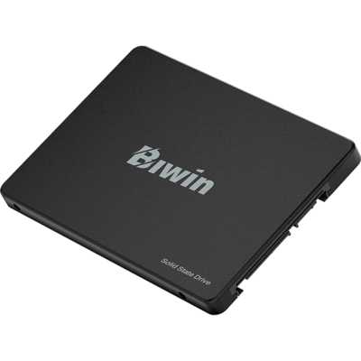 SSD диск Biwin M100 256Gb BM100NN256G-RGX Черный