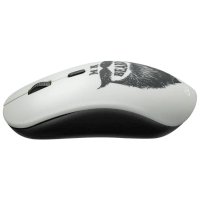 мышь Canyon CND-CMSW401BD Черный, рисунок
