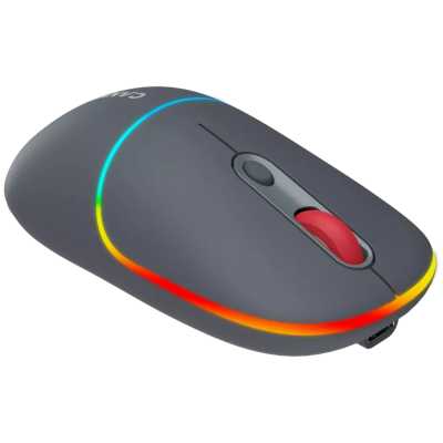 мышь Canyon MW-22 CNS-CMSW22DG Темно-серый