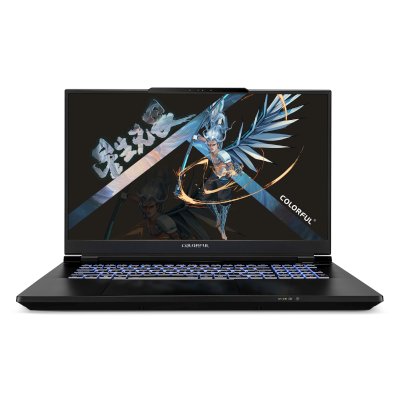 ноутбук Colorful EVOL X17 Pro Max A10205400061 Черный