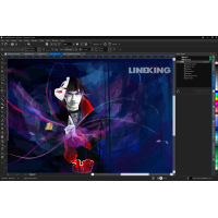 графика и моделирование CorelDRAW Graphics Suite 2017 LCCDGS2017MLCRA