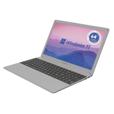 ноутбук Digma EVE 15 P417 DN15P3-8CXW01 Серый