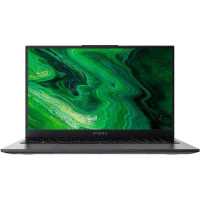 ноутбук Digma Pro Fortis M DN15P3-8DXW01 Серый