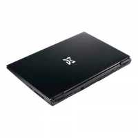 ноутбук Dream Machines RG2070S-17RU31 Черный