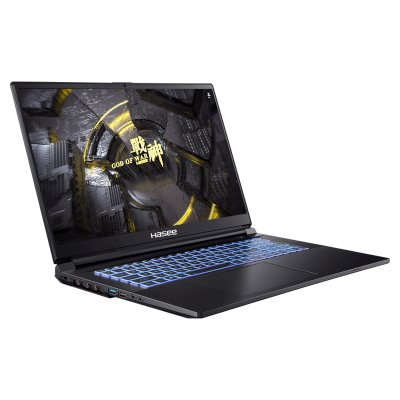 ноутбук Hasee G8R9 04HAG8R9 Черный