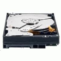 жесткий диск WD WD2503ABYZ