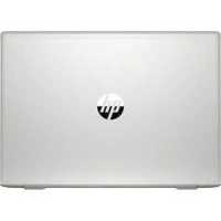 ноутбук HP ProBook 455 G7 1F3M8EA Серебристый