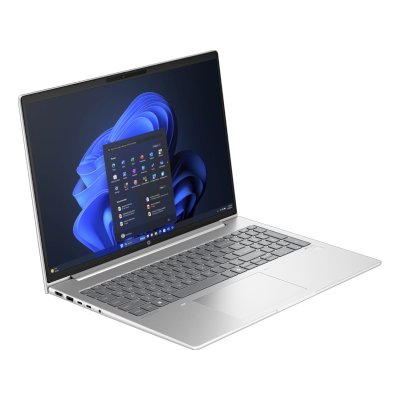 ноутбук HP ProBook 460 G11 D2FP5ET_Win11P Серебристый