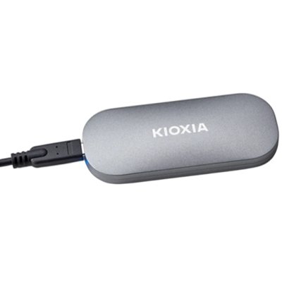SSD диск Kioxia Exceria Plus 1Tb LXD10S001TG8 Серый