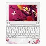 нетбук Lenovo IdeaPad S10 59049500 Розовый