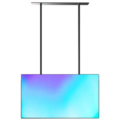 профессиональный дисплей Lumien High Brightness LWS5501FHD
