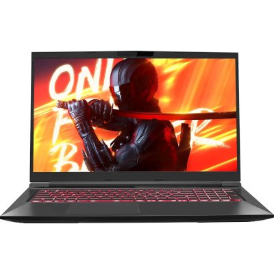 ноутбук Maibenben X17A-R56035FFSLBRE0 Серый
