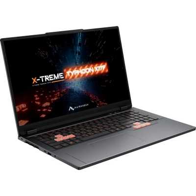 ноутбук Maibenben X17F-R989560S34HG4E10 Серый