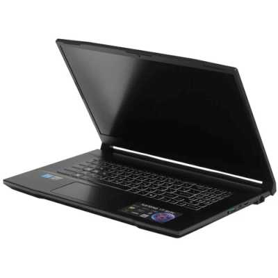 ноутбук MSI Katana 17 B13VEK-1496XRU Черный