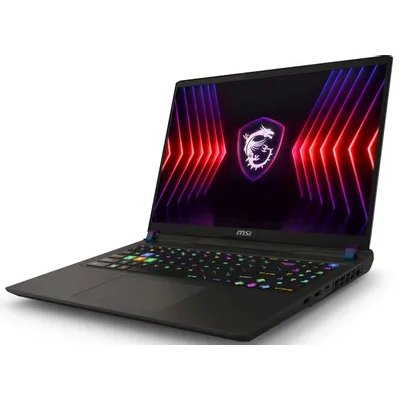 ноутбук MSI Vector 16 HX A14VGG-283RU Серый