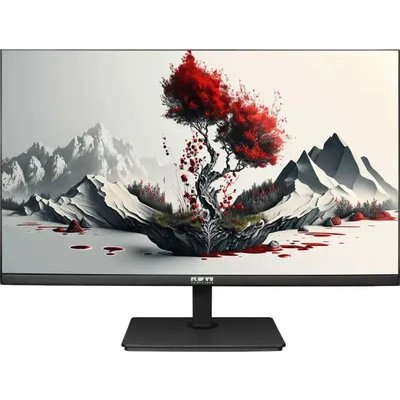 монитор RDW Computers 2401K/F00В3120V2A1 Черный