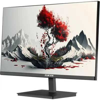монитор RDW Computers RDW2401K/F08В3120V2A1 Черный