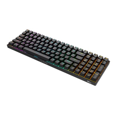 клавиатура Royal Kludge RK100 6935280813597 Черный