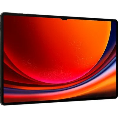 планшет Samsung Galaxy Tab S9 Ultra 5G SM-X916BZAACAU Серый