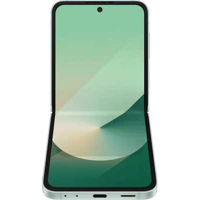 смартфон Samsung Galaxy Z Flip 6 12/512GB Mint SM-F741BLGHCAU мятный