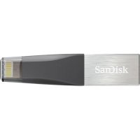 флешка SanDisk 128GB SDIX40N-128G-GN6NE