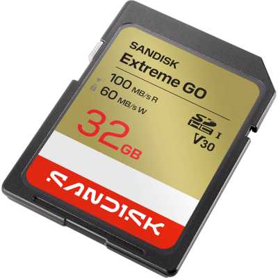 карта памяти SanDisk Extreme Go 32GB SDSDXGN-032G-GNCIN
