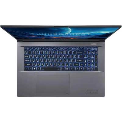 ноутбук Thunderobot 911 Plus G3 XD JT009C00KRU-wpro Серый