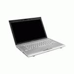 ноутбук Toshiba Tecra R10-118 Серебристый